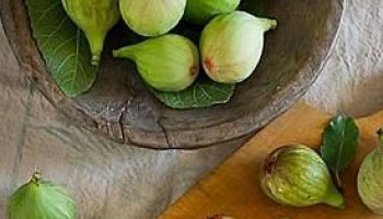 Подготовка инжирного дерева к зиме Подготовка инжирного дерева к зиме