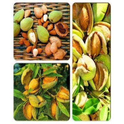 Миндаль > коллекция из 3-х сортов: Миндаль Виктория => Миндаль Прибрежный => Миндаль Форос Миндаль > коллекция из 3-х сортов: Миндаль Виктория => Миндаль Прибрежный => Миндаль Форос